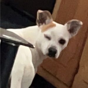 Meet your Posher, Randy